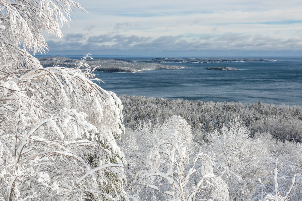 snow & rime ice on trees near the shore of Lake Superior